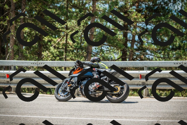 202508091156-DSC04315_c1_