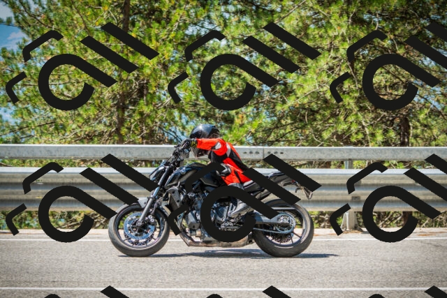 202508091156-DSC04319_c1_