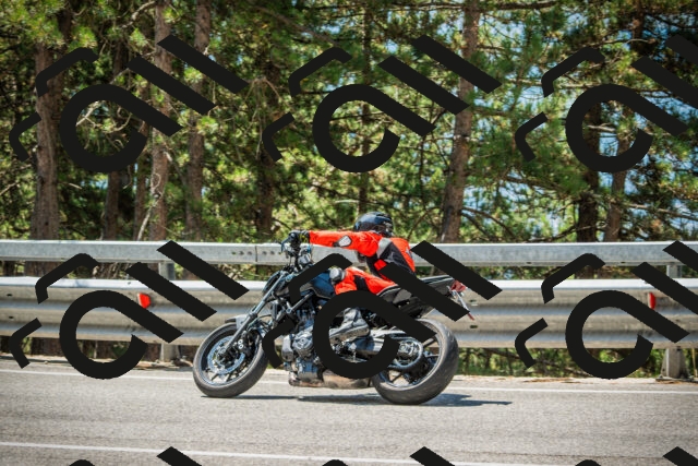 202508091156-DSC04320_c1_