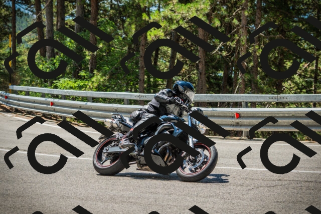 202508091156-DSC04326_c1_