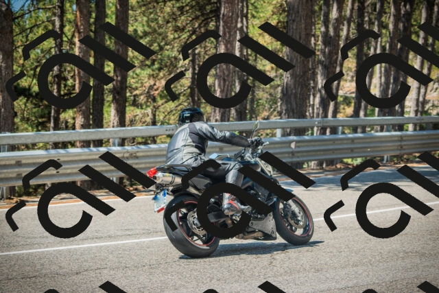 202508091156-DSC04328_c1_