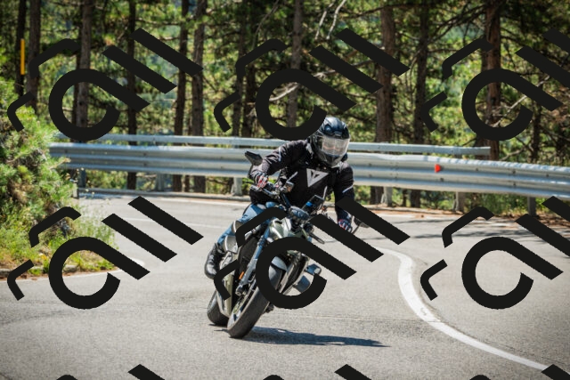 202508091156-DSC04330_c1_