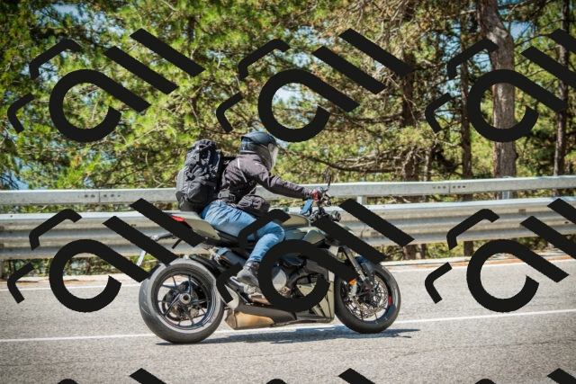 202508091156-DSC04333_c1_