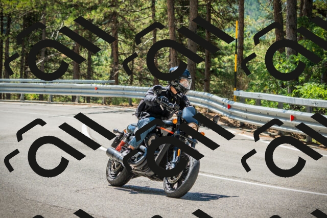 202508091156-DSC04337_c1_