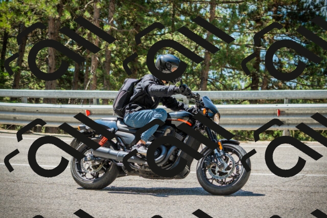 202508091156-DSC04338_c1_