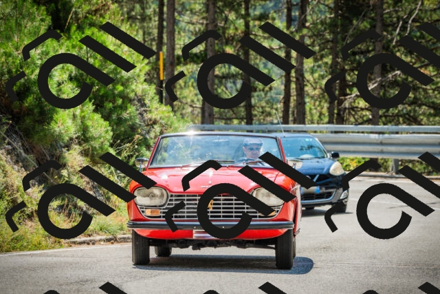 202508091157-DSC04341_c1_