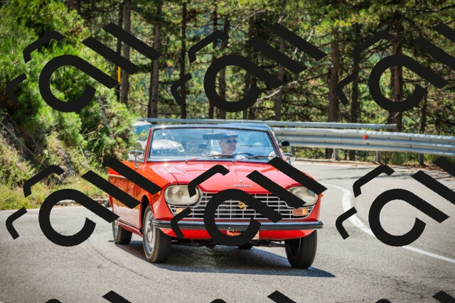 202508091157-DSC04342_c1_