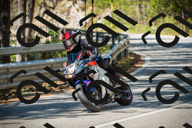 202508091159-DSC04345_c1_