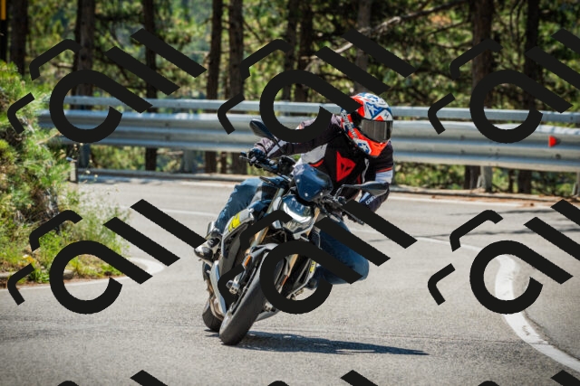 202508091159-DSC04350_c1_