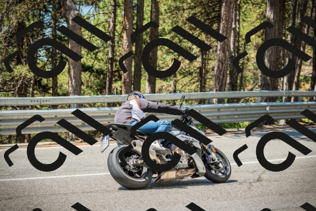 202508091159-DSC04353_c1_