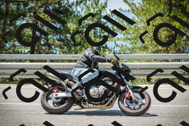 202508091159-DSC04357_c1_