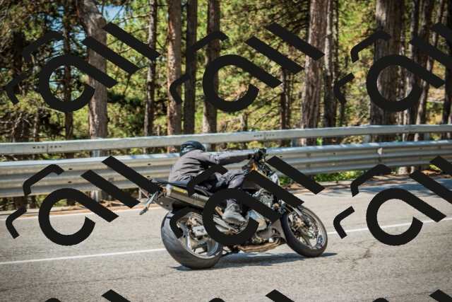 202508091159-DSC04359_c1_