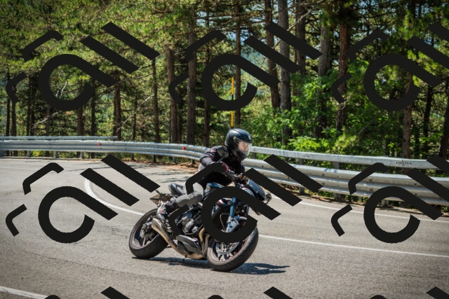 202508091200-DSC04365_c1_