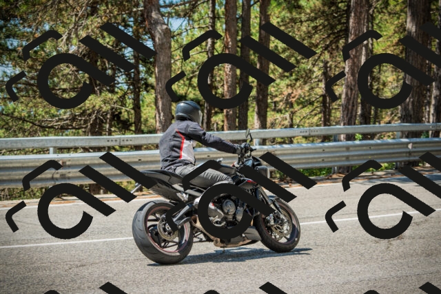 202508091200-DSC04367_c1_