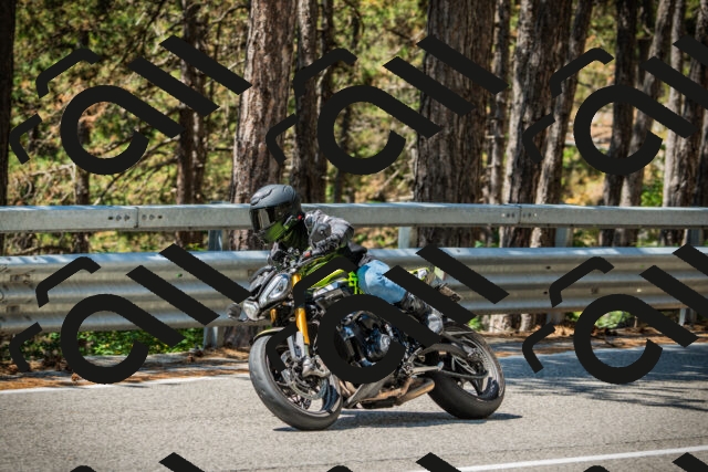 202508091200-DSC04371_c1_