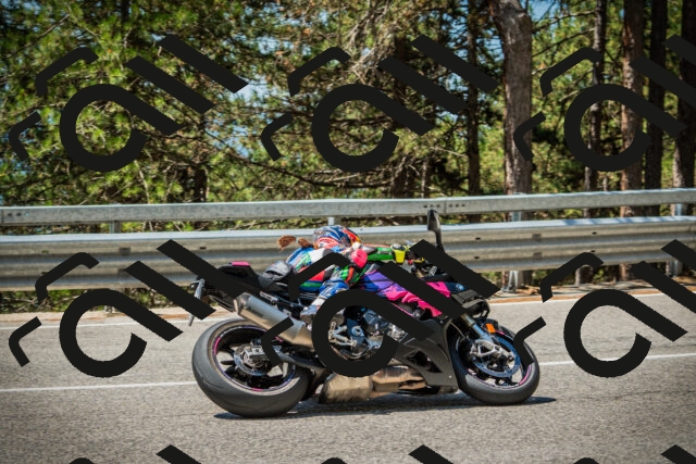 202508091201-DSC04384_c1_