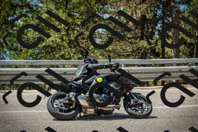 202508091201-DSC04386_c1_