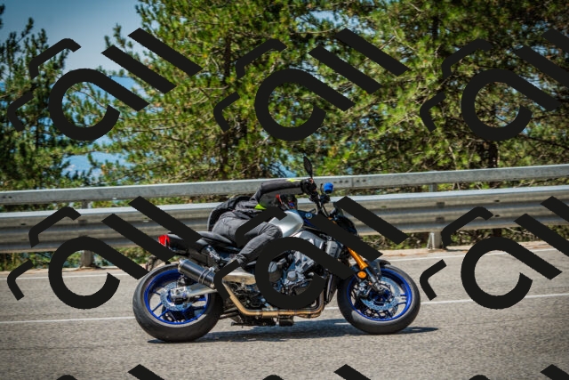 202508091201-DSC04390_c1_