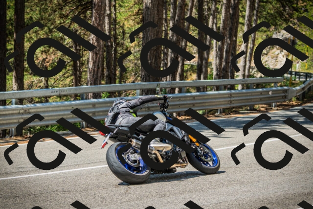 202508091201-DSC04391_c1_