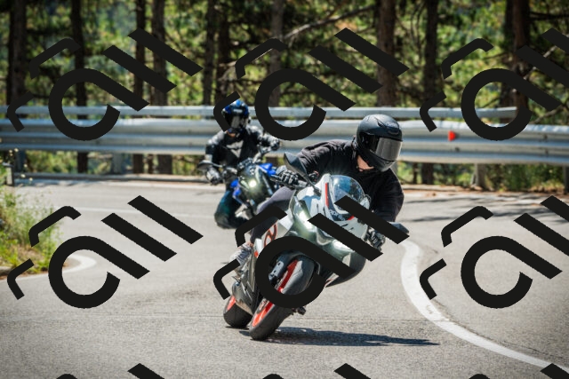 202508091201-DSC04395_c1_