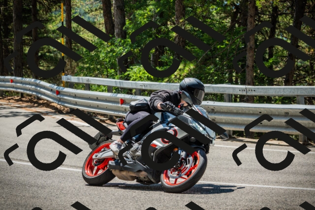 202508091201-DSC04396_c1_