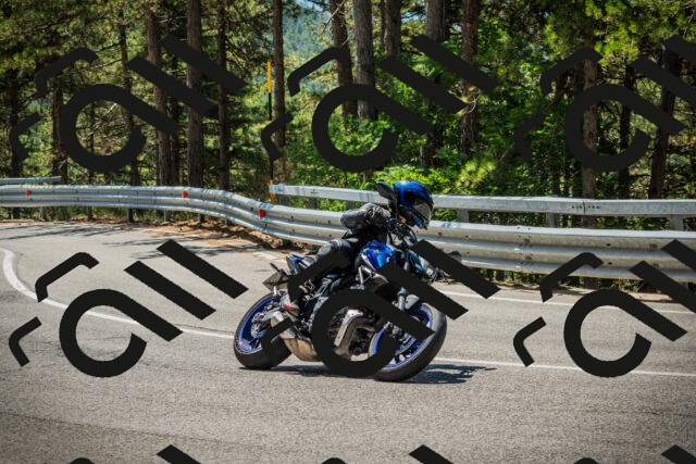 202508091201-DSC04397_c1_