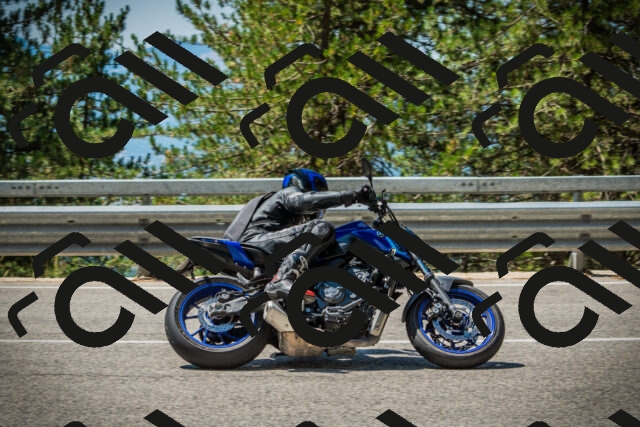 202508091201-DSC04398_c1_