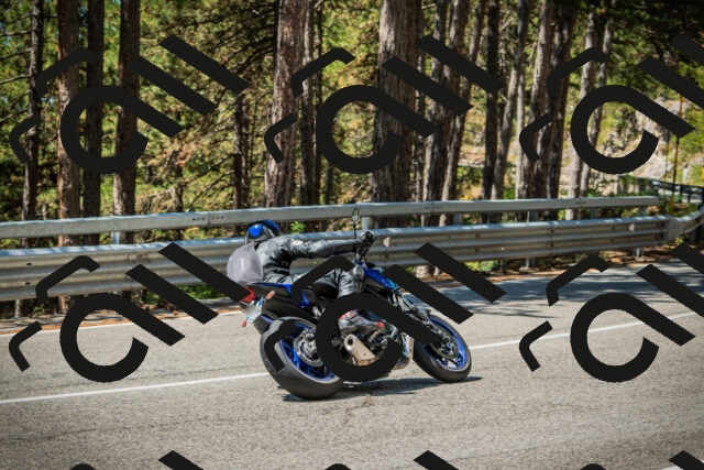 202508091201-DSC04399_c1_