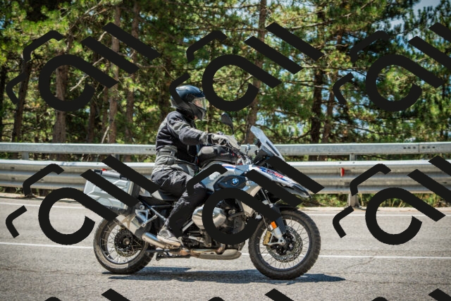 202508091202-DSC04402_c1_