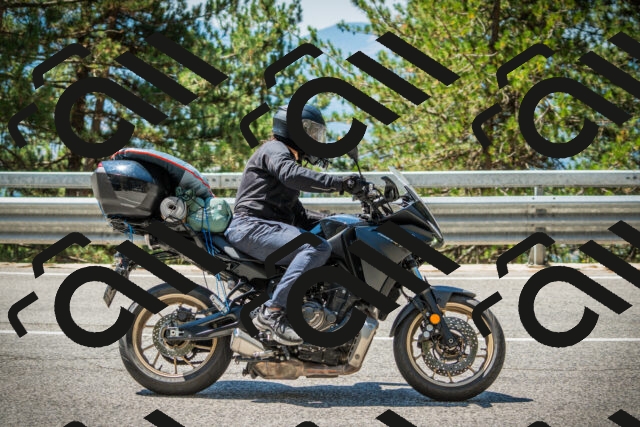 202508091202-DSC04404_c1_