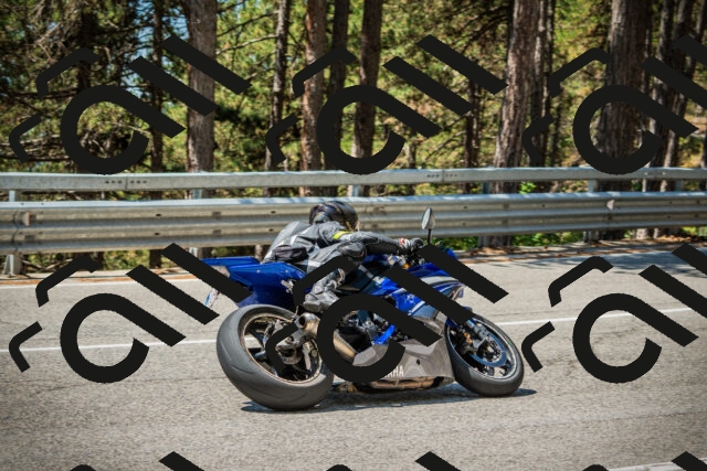 202508091203-DSC04412_c1_