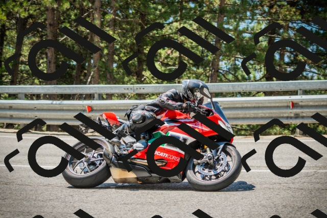 202508091203-DSC04415_c1_