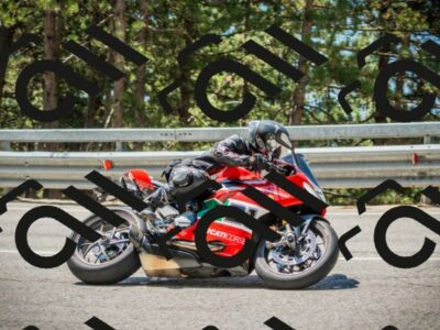 202508091203-DSC04415_c1_