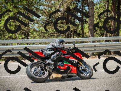 202508091203-DSC04416_c1_