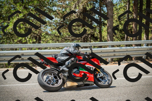 202508091203-DSC04416_c1_