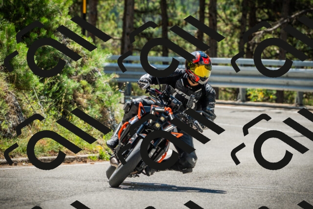 202508091203-DSC04417_c1_