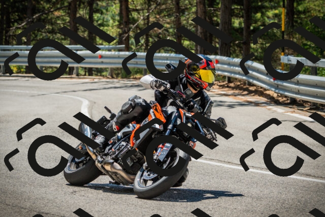 202508091203-DSC04418_c1_