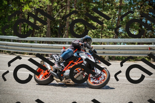 202508091205-DSC04426_c1_