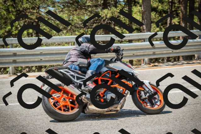 202508091205-DSC04427_c1_