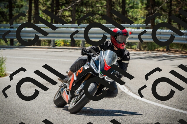 202508091206-DSC04431_c1_