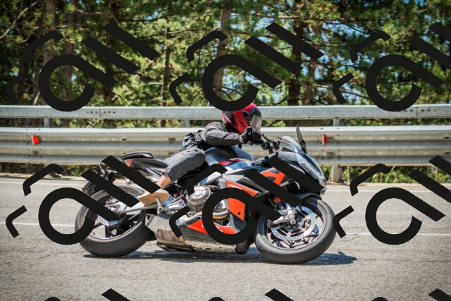 202508091206-DSC04432_c1_