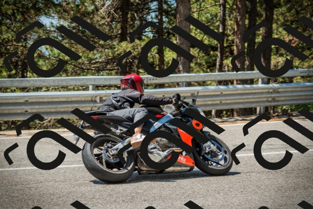 202508091206-DSC04433_c1_