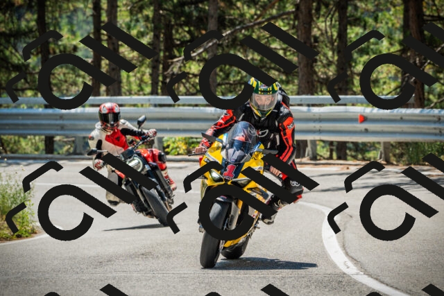 202508091206-DSC04437_c1_