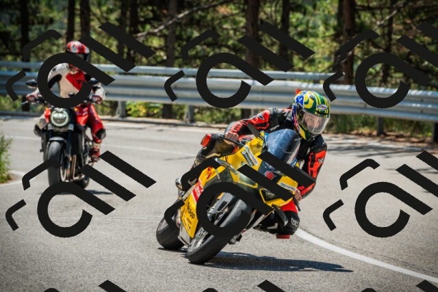 202508091206-DSC04438_c1_