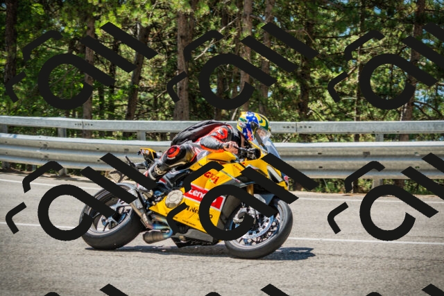 202508091206-DSC04439_c1_