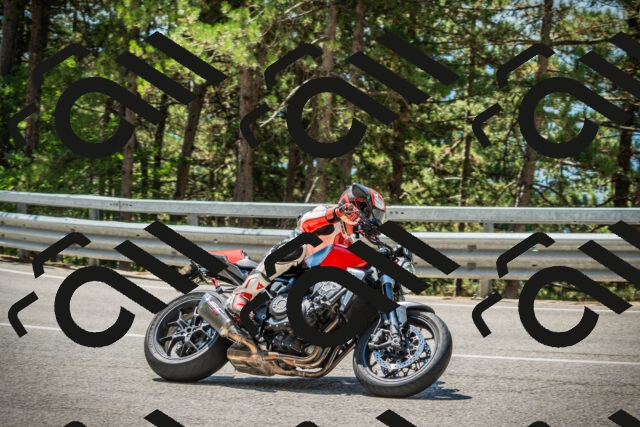 202508091206-DSC04440_c1_