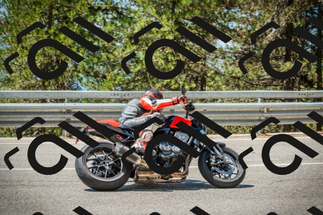 202508091206-DSC04441_c1_