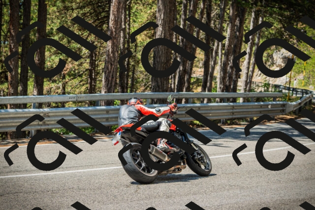 202508091206-DSC04442_c1_