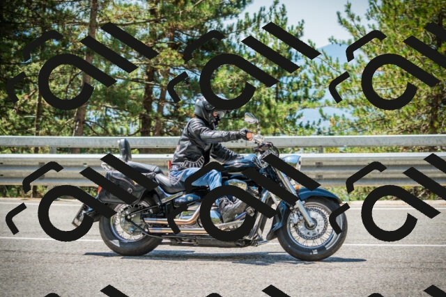 202508091206-DSC04444_c1_