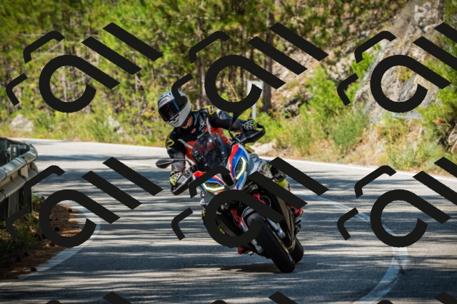 202508091206-DSC04455_c1_